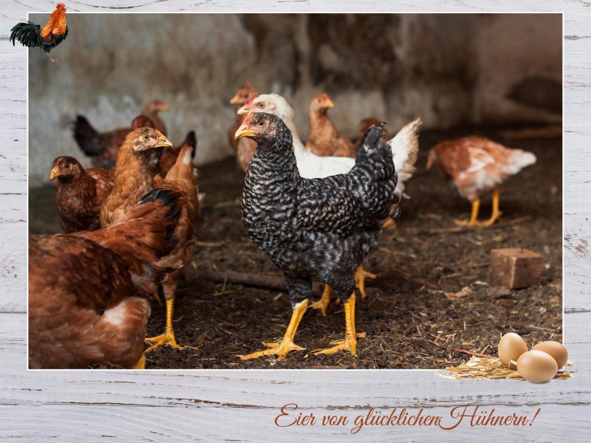 Fewo-Egger-Thalmann ヴィルゲン エクステリア 写真